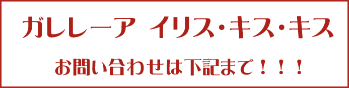 ガレレーアイリスキスキス