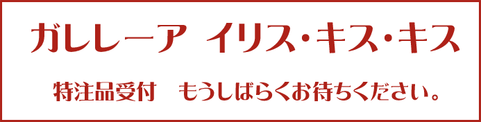 ガレレーアイリスキスキス